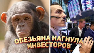 🐒 Как обезьяна нагнула инвесторов и заработала 6 млн рублей...