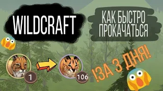 WildCraft / Как быстро прокачаться / За 3 дня / How to pump fast