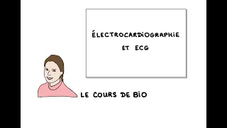 Électrocardiographie et ECG