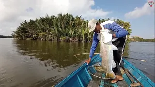 Lemparan pertama langsung disambar ikan Barramundi besar#Mancing joran bambu