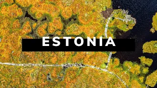 ESTONIA TRAVEL DOCUMENTARY | A Baltic Road Trip Adventure