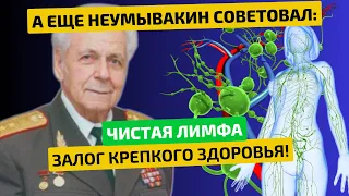 И.П.Неумывакин: Все болезни ТАМ!!! Очистил ЛИМФУ и восстановил ИМУНИТЕТ, вернулись силы и ДАЖЕ...