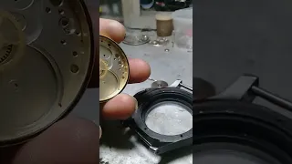 movement luminor panerai