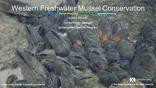 Xerces Classroom: Freshwater Mussels