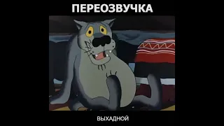 ВОЛК 23 ФЕВРАЛЯ