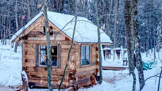 Building an Off-grid Workshop | Felling Trees for the Off Grid Log Cabin Build