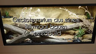 Geckoterrarium aus einem Billyregal bauen