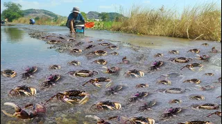 wow amazing! a fisherman skill catch field crabs on the road when flood this morning