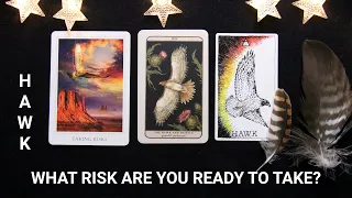 What risk are you ready to take? • Messages from hawk spirit | Pick-a-card tarot reading