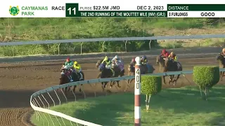 The Mouttet Mile Invitational 2023 | Caymanas Horse Racing | SportsMax TV