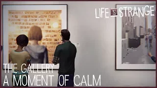 A Moment of Calm - The Gallery