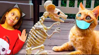 КОТЫ на КАРАНТИНЕ #2! СМЕШНЫЕ КОТЫ😻 и СОБАКИ🐶! ЧЕЛЛЕНДЖ НЕ ЗАСМЕЙСЯ Funny Cats Не смеяться Валеришка