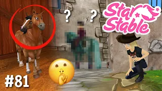 Mijn fans stalken + Paard met twee hoofden! | Star Stable #81