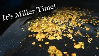 Rich gold concentrates, How to use a Miller Table. (Black Scorpion)