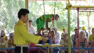 Vietnam- Nha Trang- Monkey Island - Monkey Circus Show HD