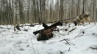 Закрываем сезон по металокопу.Тяжелый металл в такую погоду