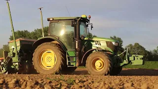 Siew kukurydzy 2024 | John Deere  6120r & Amazone ED 452 - k & UF - 1801