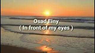 Osad Einy - Amr Diab