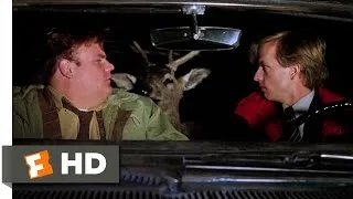 Tommy Boy (4/10) Movie CLIP - The Deer Wakes Up (1995) HD