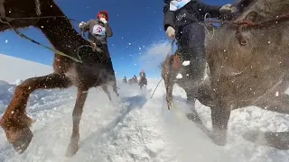 Xinjiang herdsmen gallop across snowy fields to celebrate Spring Festival