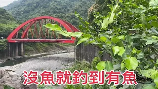 Creek fishing in Taiwan 看起來好像沒有魚既然來了就潦落去釣就有了