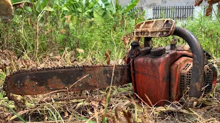 ECHO ChainSaw Full Restoration | Restore Chainsaw Cannot start