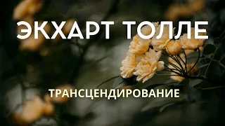 Трансцендирование - ЭКХАРТ ТОЛЛЕ [NikOsho]