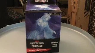 Unboxing D&D Icons of the Realm Boneyard Booster Box