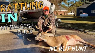 NC Rut Hunt BIG BUCK DOWN!!!