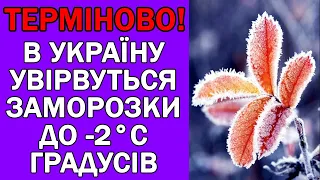 ЗАМОРОЗКИ ДО -2 ГРАДУСІВ В УКРАЇНІ : ПОГОДА НА ЗАВТРА