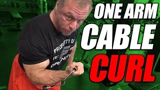 Exercise Index - One Arm Cable Curl