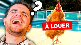 LES PIRES ENTREPRISES (genre de location de poules)