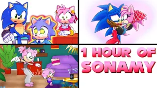 1 HOUR of Sonamy 10 Years Later - Sonic x Amy Comic Dub MEGA COMP