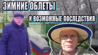 Зимний облет пчел В чем опасность зимних облетов пчел Расплод и голодная смерть