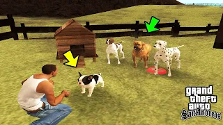 How to Find Dogs in GTA San Andreas!(Secret Mods)