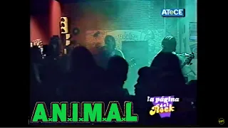 A.N.I.M.A.L. , La Pagina del Rock 1996 (show+nota) ANIMAL