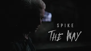 Spike | The Way