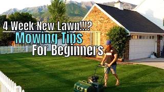 How SHORT to cut Grass FIRST Cut and Proper Lawn Mowing Height