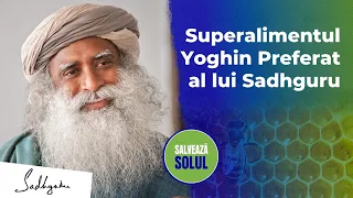 Sadhguru dezvăluie un superaliment care l-a menținut plin de energie toată ziua