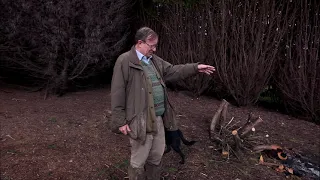 Cutting back a mature Cupressus leylandii hedge