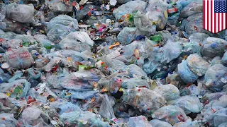 8.3 billion tonnes of plastic was produced worldwide in 65 years, only 9% was recycled - TomoNews