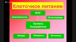 ЭНДОРФИНОТЕРАПИЯ - СИСТЕМА ОЗДОРОВЛЕНИЯ, ОМОЛОЖЕНИЯ И ДОЛГОЛЕТИЯ - Урок 2 - Виктор Тетюк -ГАРМОНИ...