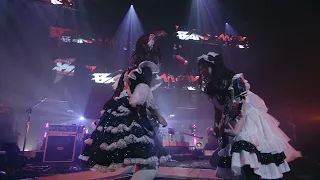 BAND-MAID / DOMINATION  (Official Live Video)