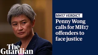 Penny Wong calls for Russia to hand over MH17 offenders