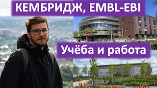 Учёба в Кембридже, работа в Европе и Великобритании