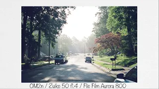 I Got My First Roll of Aurora 800 Back From the Lab!