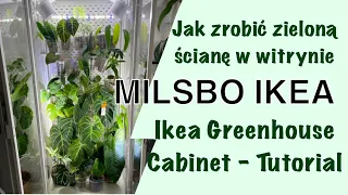 Jak zrobić zieloną ścianę w witrynie MILSBO IKEA | Ikea Greenhouse Cabinet - Tutorial