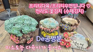 24.6.4.5월에 뽑아두었던 화이트팜 식재해요.