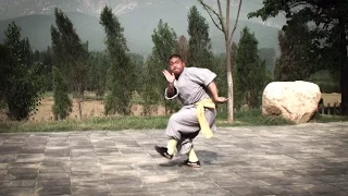 Shaolin Xinyiba - Qi Xing Quan