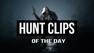 Hunt Clips of the day | 11.03.2024